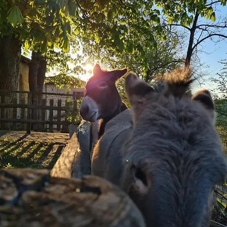 Gospodarstwo agroturystyczne Marzanella