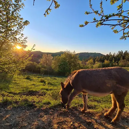 Marzanella Gospodarstwo agroturystyczne Tredozio