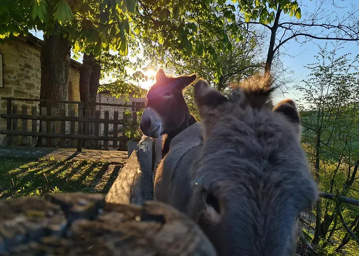 Farm stay Marzanella