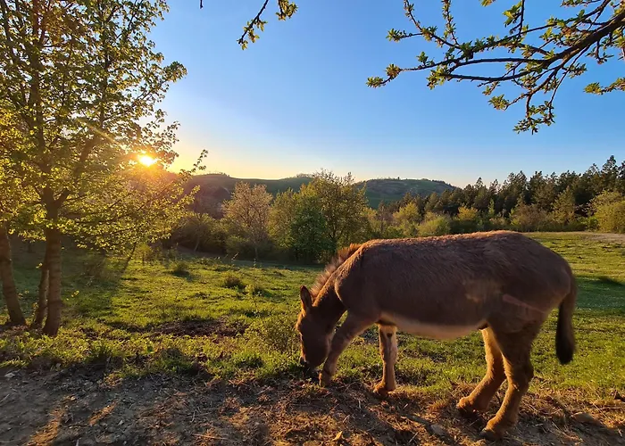 Marzanella Gospodarstwo agroturystyczne Tredozio